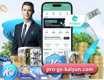开云体育 APP 深度功能 | kaiyun